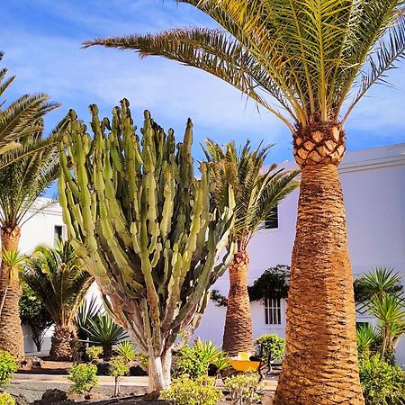 Flor De Las Dunas Pools Wifi Tennis Bikes For Free Corralejo Bagian luar foto