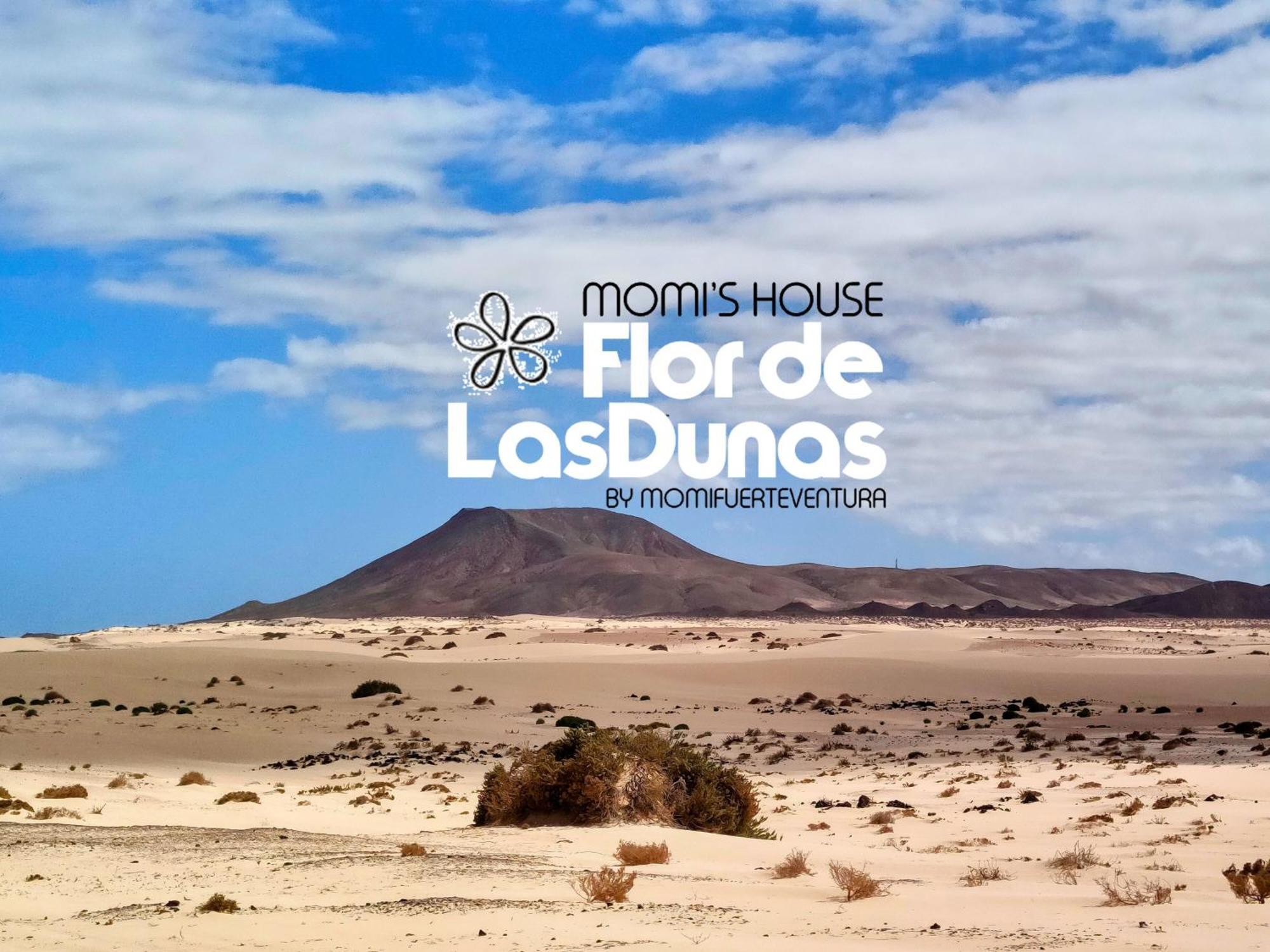 Flor De Las Dunas Pools Wifi Tennis Bikes For Free Corralejo Bagian luar foto